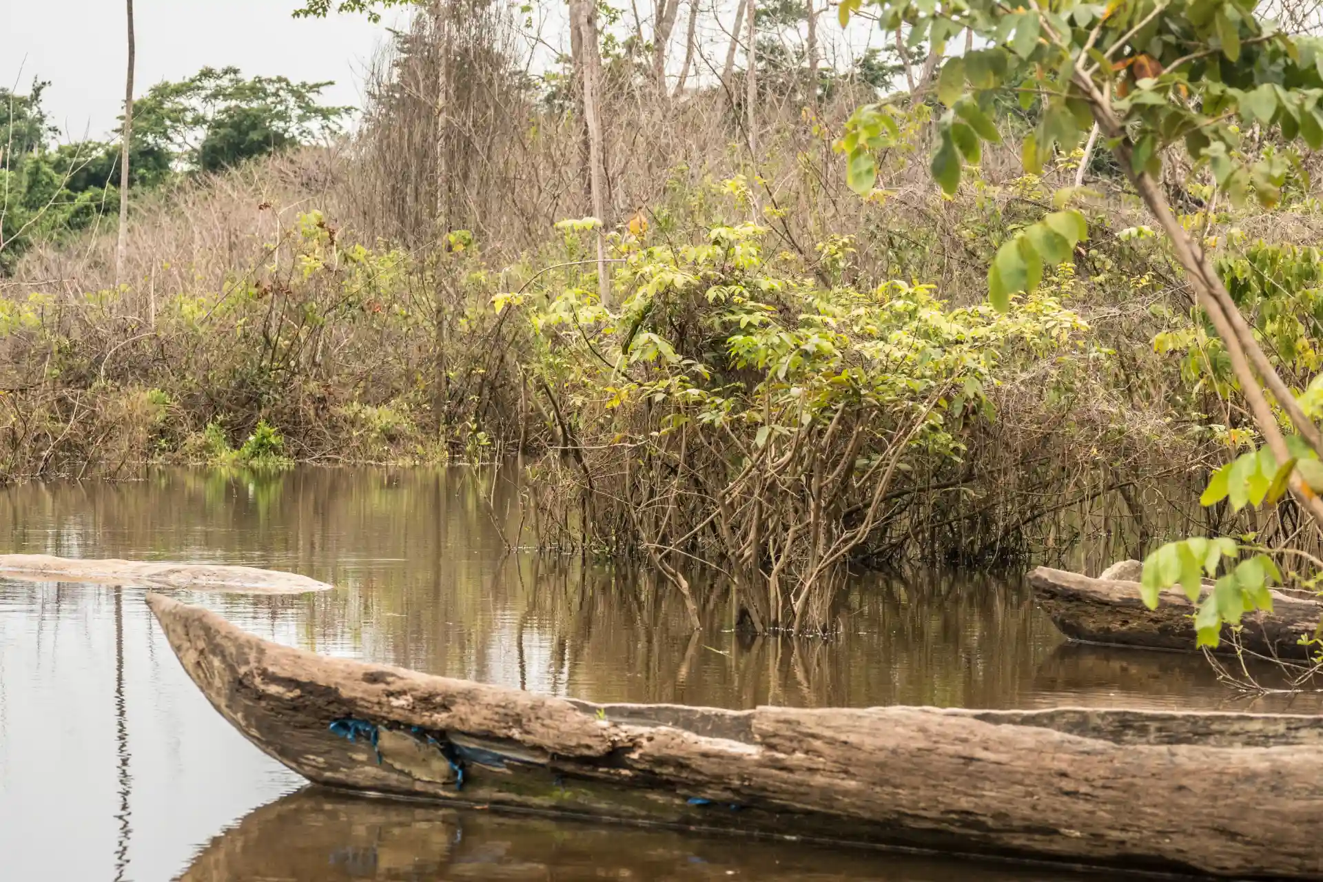 Chauffeur & Catering